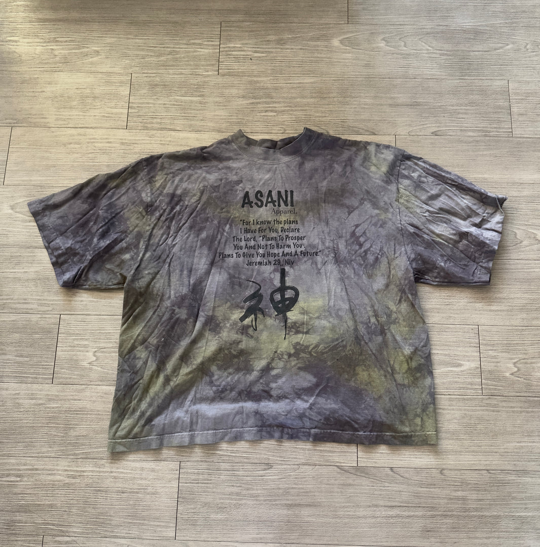 Rusty ASANI SHIRT
